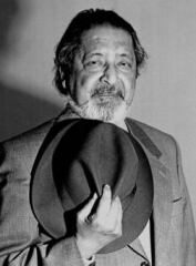 v-s-naipaul-2.jpg